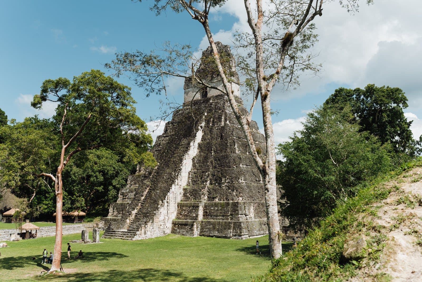Temple I rising above the grassy Great Plaza of Tikal, framed by jungle trees