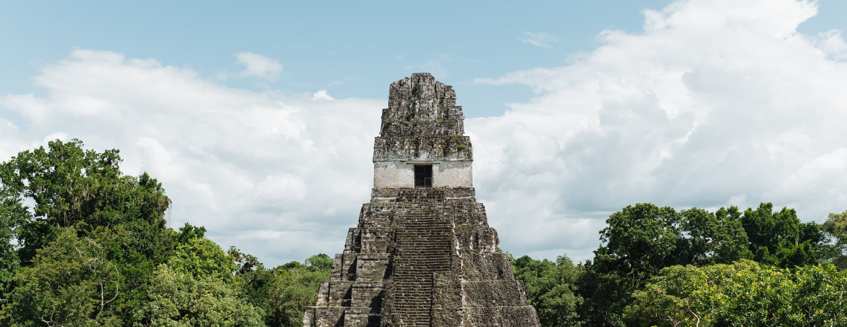 Templo de Tikal sobre la selva de Petén